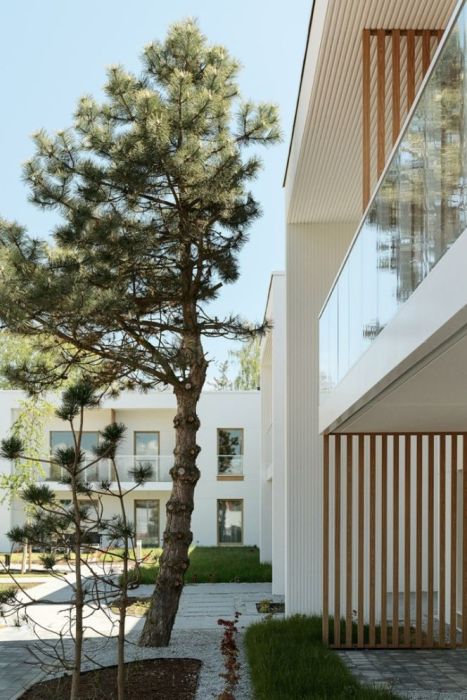 Apartament z antresolą i ogrodem | Basen, sauna, strefa rekreacji: zdjecie 99522267