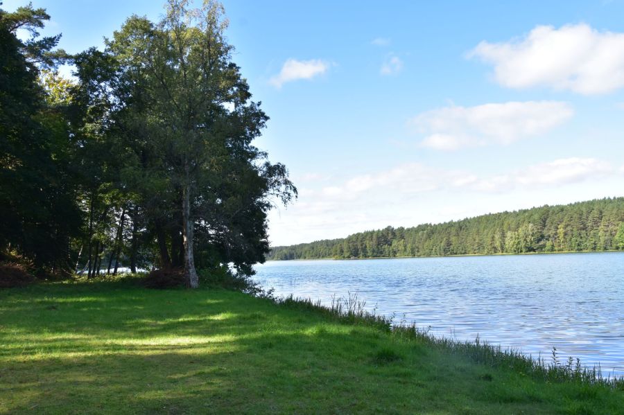 Działka nad jeziorem w sercu lasu || KASZUBY || LAS || JEZIORO: zdjecie 99522601
