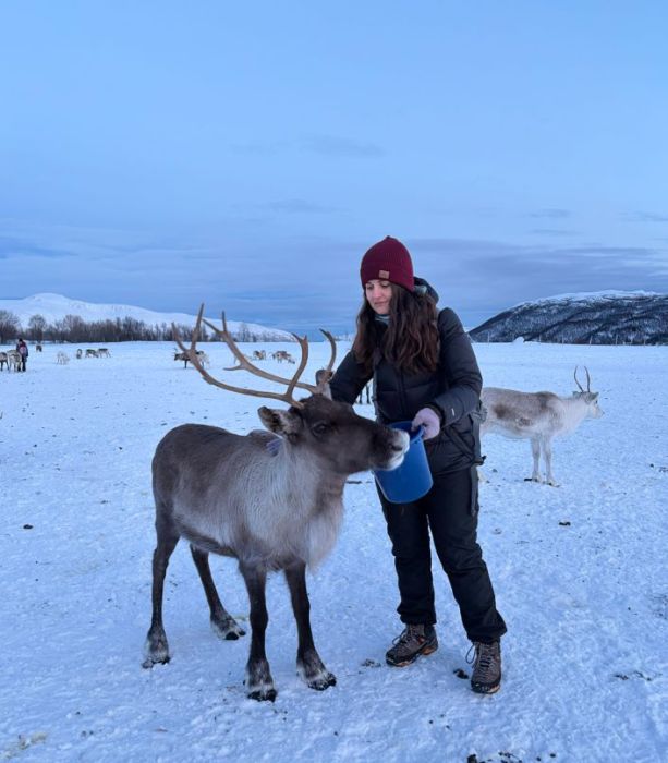 Wyprawa zorzowa do Tromsø z przewodnikiem: zdjecie 99529996