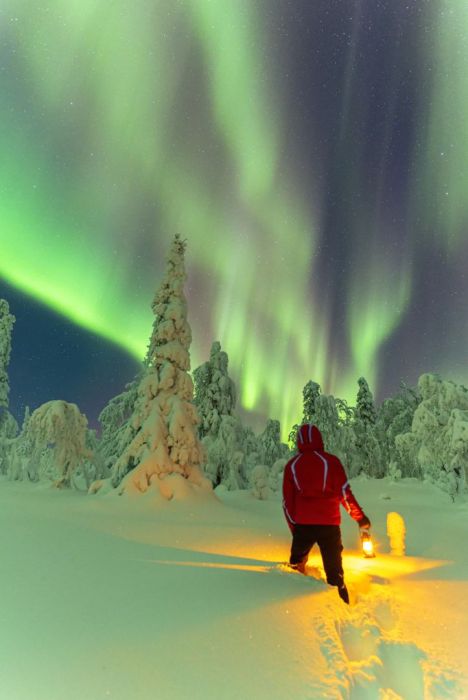 Wyprawa zorzowa do Tromsø z przewodnikiem: zdjecie 99530000