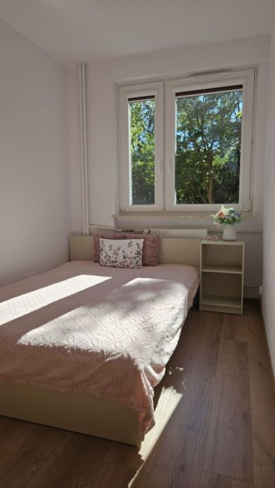 Mieszkanie 2 pokojowe do wynajęcia Sopot Sienkiewicza: zdjecie 99532125