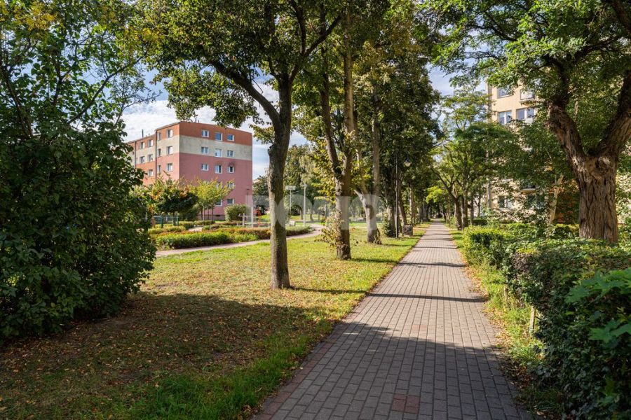 Do wprowadzenia I Balkon I 2 pokoje I Żabianka: zdjecie 99558998