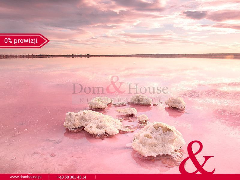 Torrevieja | Dom Bungalow | 3 Pokoje: zdjecie 99533456