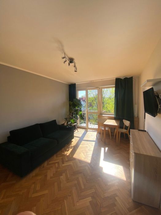 Wynajmę bardzo słoneczną kawalerkę w doskonałej lokalizacji: zdjecie 99540940