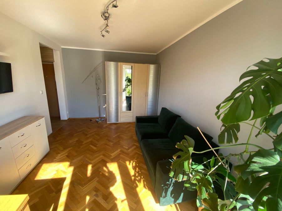 Wynajmę bardzo słoneczną kawalerkę w doskonałej lokalizacji: zdjecie 99540941