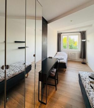 Pokój do wynajęcia 12 m² + garderoba 3 m²: zdjecie 66550809