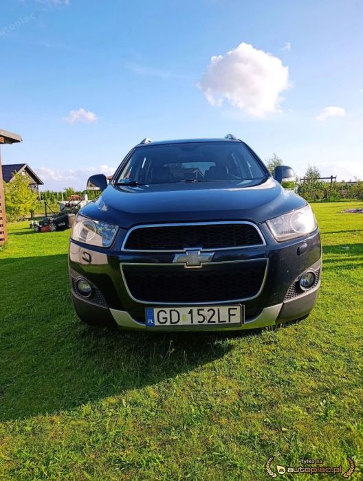 Chevrolet Captiva, SUV: zdjecie 99542264