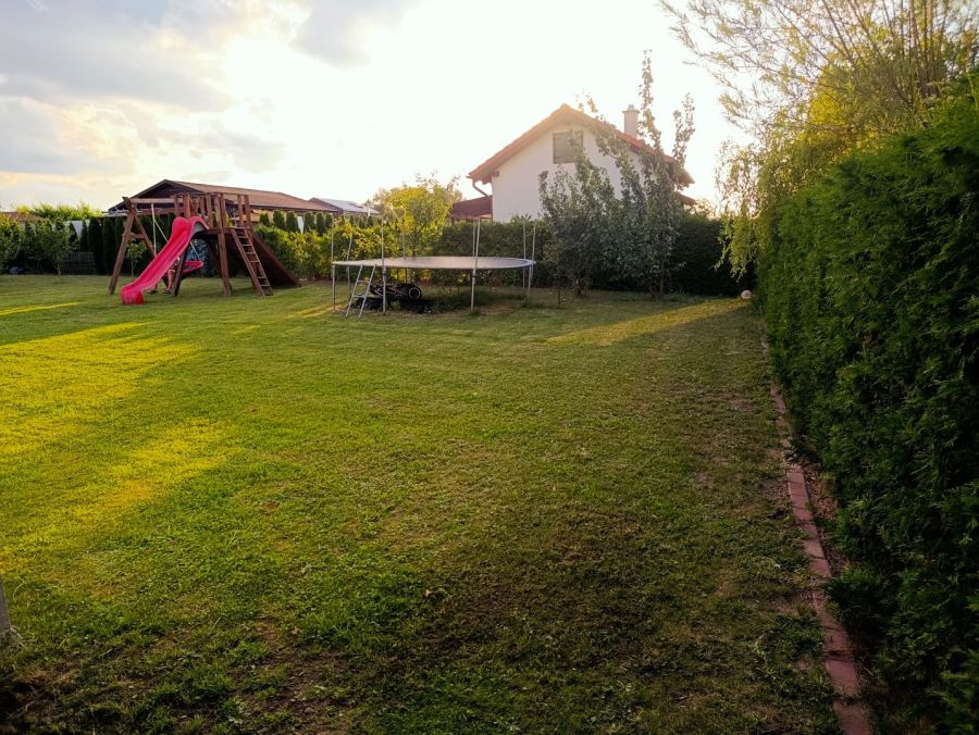 Działka ROD przekaże prawa: zdjecie 99542828