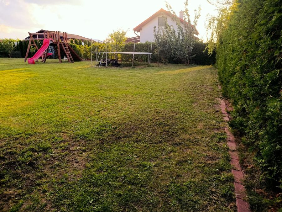 Działka ROD przekaże prawa: zdjecie 99542831
