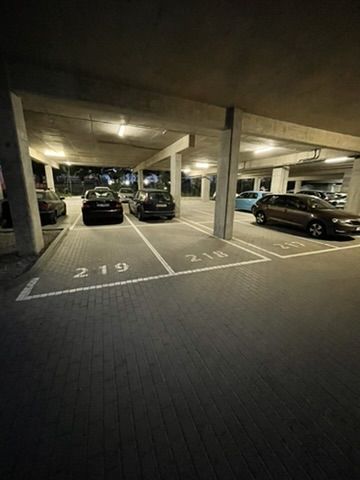miejsce postojowe - parking wielopoziomowy - Lawendowe Wzgórze: zdjecie 99544061