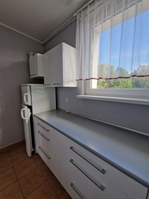 Gdynia Witomino: zdjecie 99544784