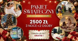 Pakiet Świąteczny w Hotelu Business Faltom: zdjecie 66551799