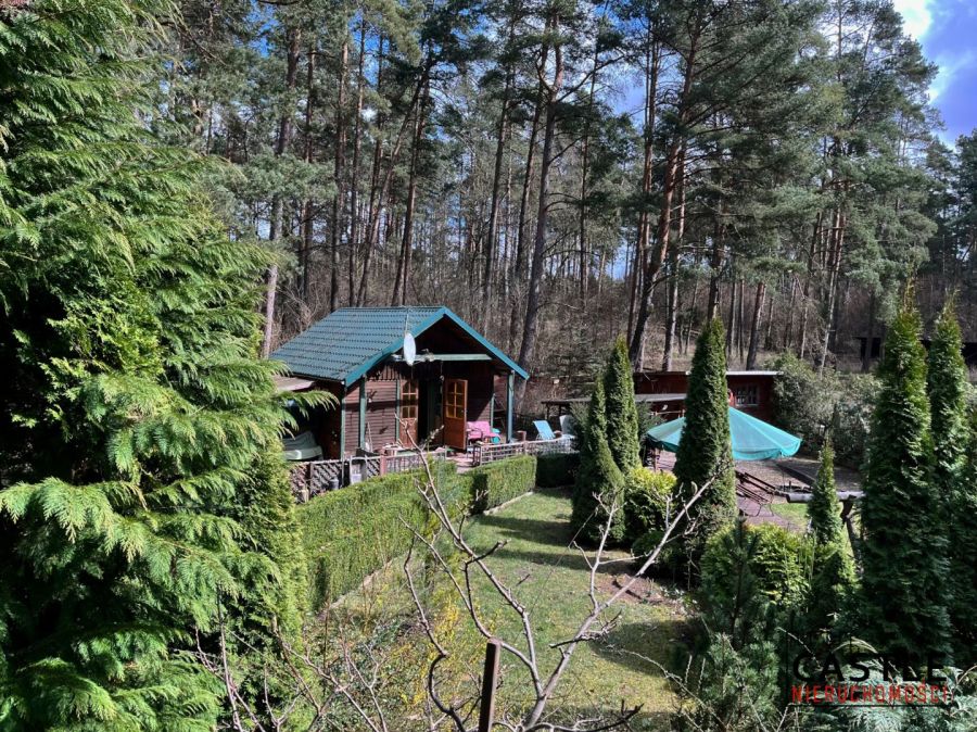 Leśny azyl pod Trójmiastem | Dom całoroczny 2 domk: zdjecie 99551348