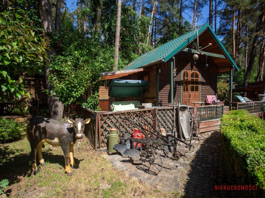 Leśny azyl pod Trójmiastem | Dom całoroczny 2 domk: zdjecie 99551351