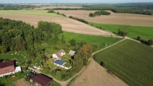 Działka siedliskowa 3 236m2  z zabudową: zdjecie 66552033