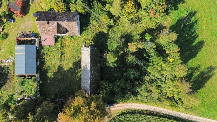 Działka siedliskowa 3 236m2  z zabudową: zdjecie 99551617