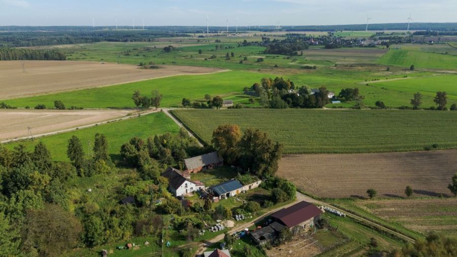 Działka siedliskowa 3 236m2  z zabudową: zdjecie 99551620