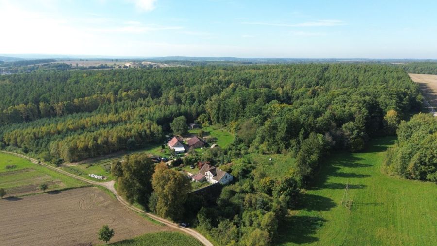 Działka siedliskowa 3 236m2  z zabudową: zdjecie 99551621