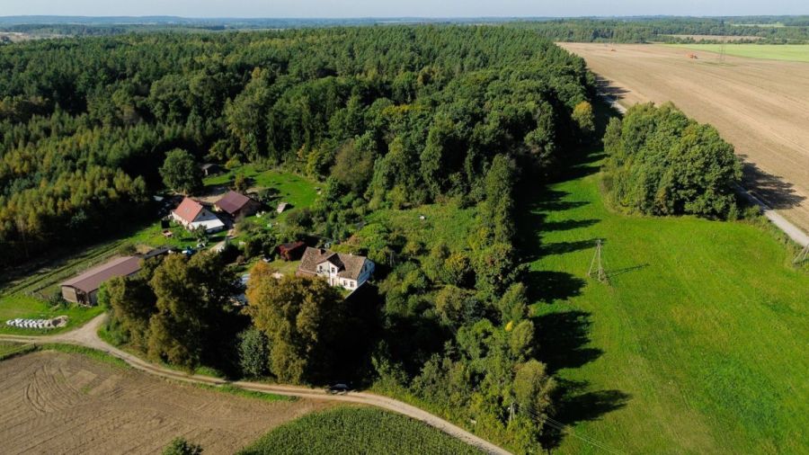 Działka siedliskowa 3 236m2  z zabudową: zdjecie 99551623