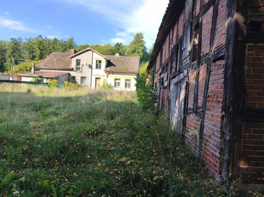 Działka siedliskowa 3 236m2  z zabudową: zdjecie 99551626