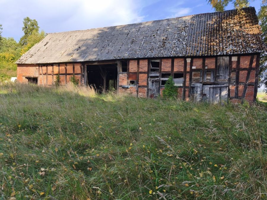 Działka siedliskowa 3 236m2  z zabudową: zdjecie 99551628