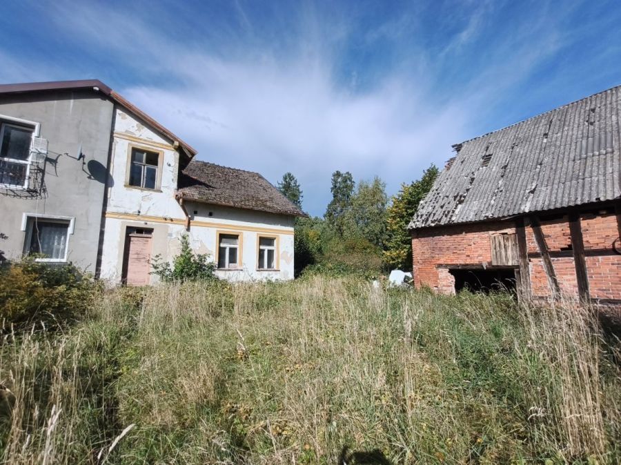 Działka siedliskowa 3 236m2  z zabudową: zdjecie 99551630