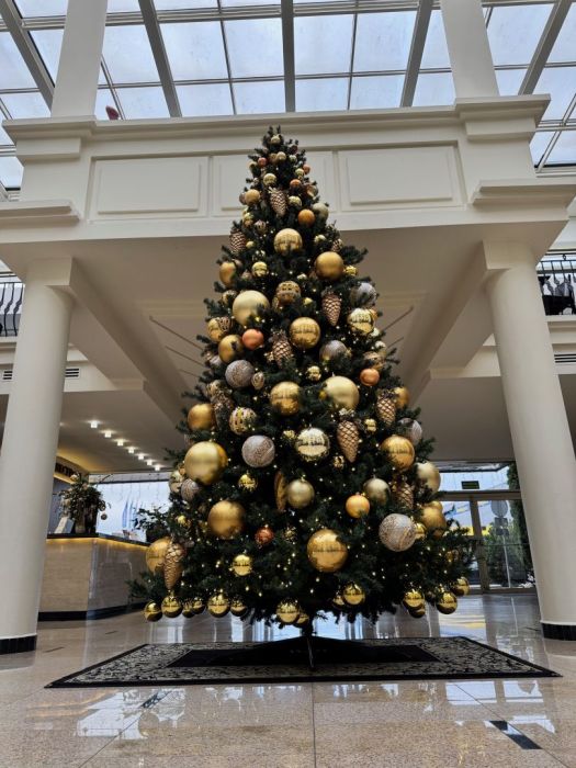 Pakiet Świąteczny w Hotelu Spa Faltom: zdjecie 99552064