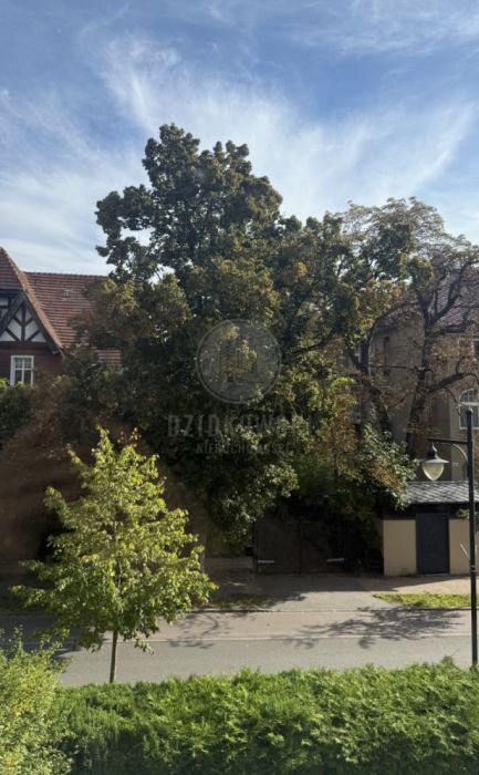 Idealne dla studentów | Sopot, ul. Armii Krajowej: zdjecie 99554078