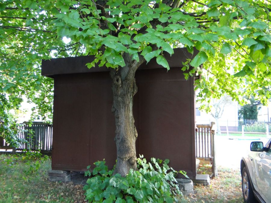 Kiosk typu Ruch: zdjecie 99556706