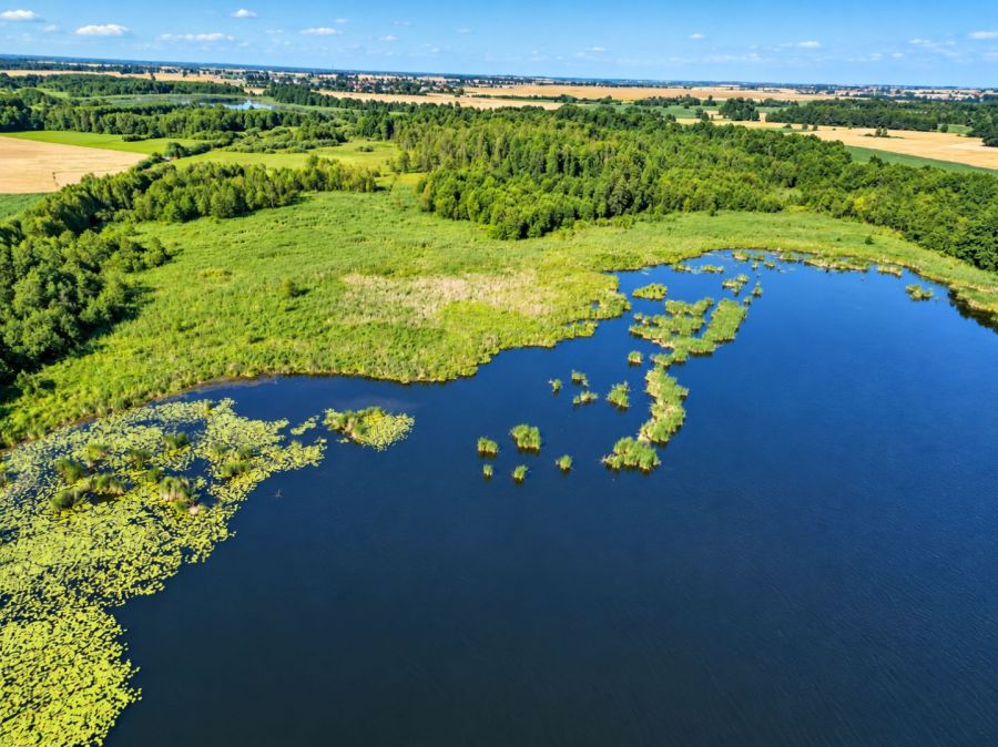 2,38 HA blisko jeziora za tylko 149 000 ZŁ!: zdjecie 99556984