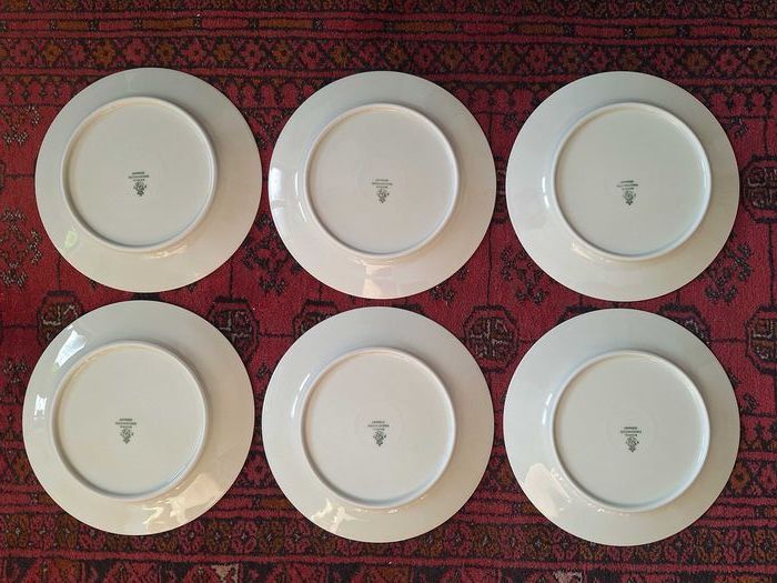 Luksusowy zestaw 6 talerzy Tirschenreuth Bavaria porcelana: zdjecie 99558272