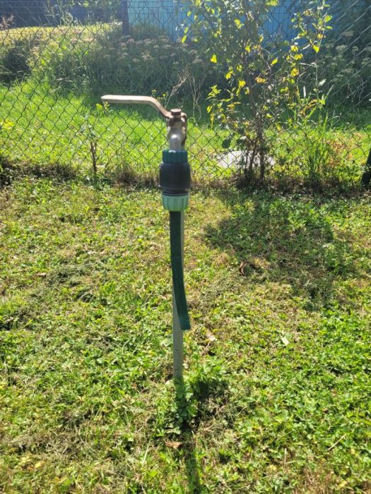 Dzialka ROD im. Tadeusza Kościuszki w Gdańsku: zdjecie 99559943