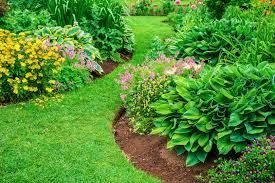 Prace ogrodowe =Ogrodnik.Pielenie.Porządki.: zdjecie 99560045