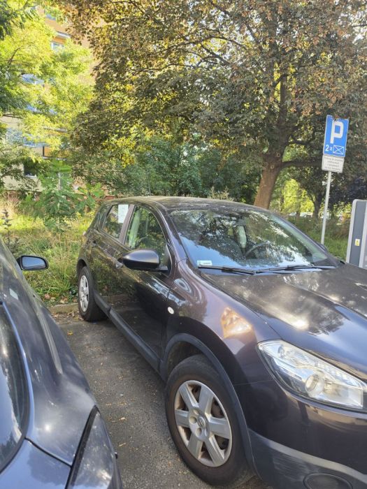 Sprzedam Nissan Qashqai: zdjecie 99564986