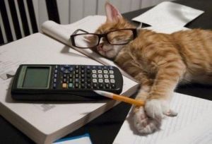 Korepetycje z matematyki  klasy 4-8 i matura: zdjecie 66553265