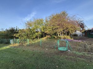 Działka ROD Gdynia Babie Doły: zdjecie 66553359
