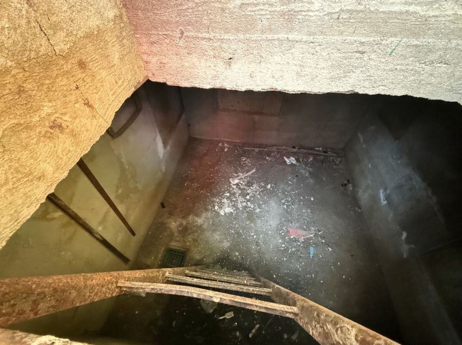 Działka ROD Gdynia Babie Doły: zdjecie 99561419
