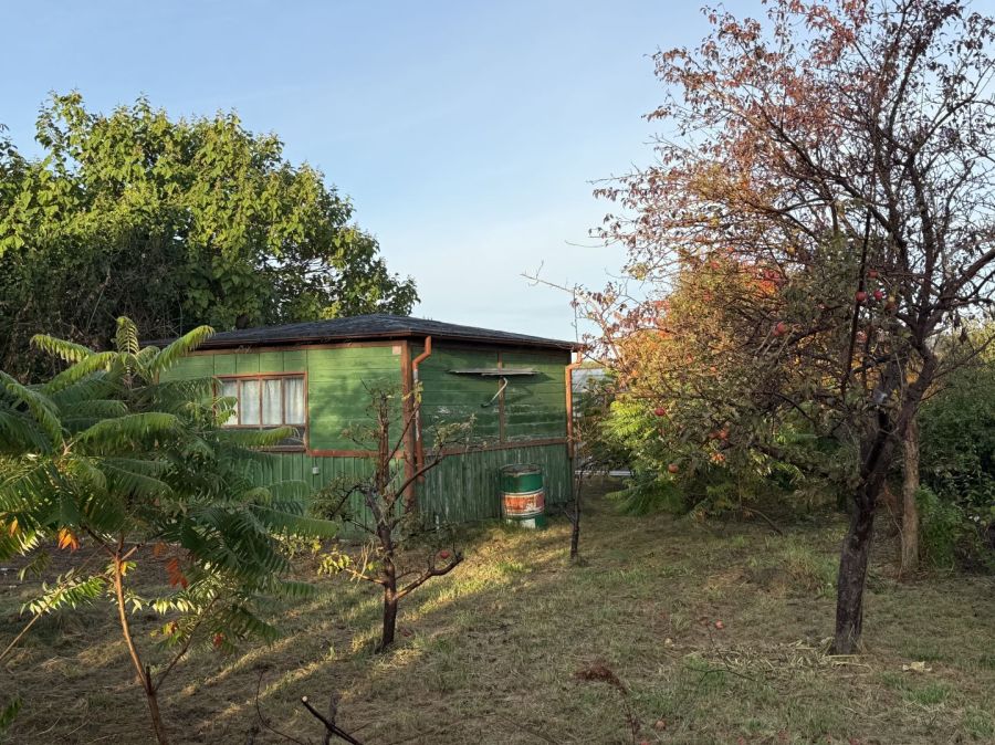 Działka ROD Gdynia Babie Doły: zdjecie 99561454