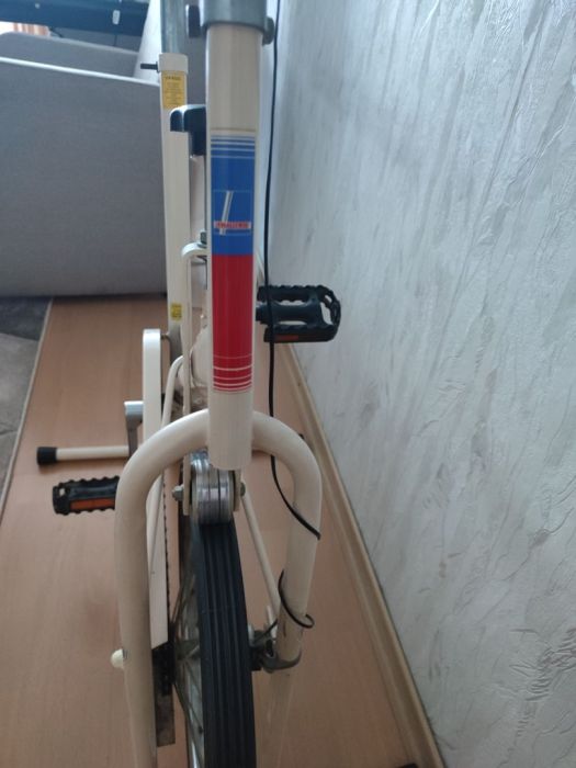 Rower stacjonarny z lat 90.: zdjecie 99561749