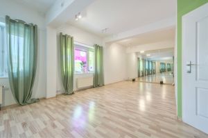 Lokal usługowy z potencjałem: zdjecie 66553526