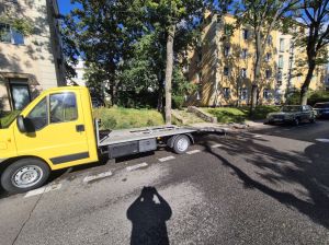 Laweta - transport, wynajem: zdjecie 66553536