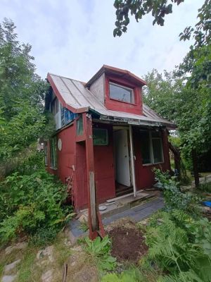 Działka ROD Gdańsk Rębiechowo (312 m²): zdjecie 66553546