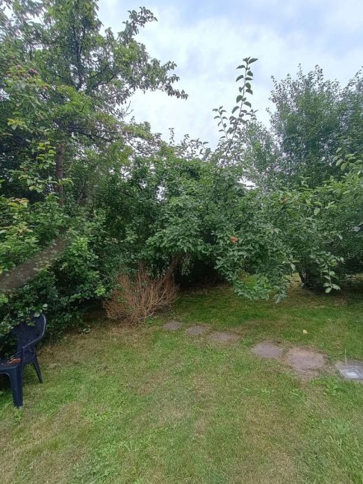 Działka ROD Gdańsk Rębiechowo (312 m²): zdjecie 99562243