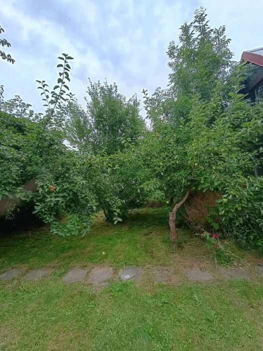 Działka ROD Gdańsk Rębiechowo (312 m²): zdjecie 99562247
