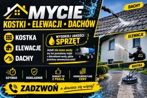 Mycie elewacji,kostki i dachu: zdjecie 66553682