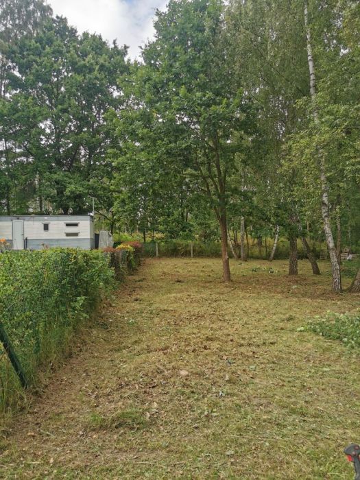 Działka ROD Klukowo: zdjecie 99564043