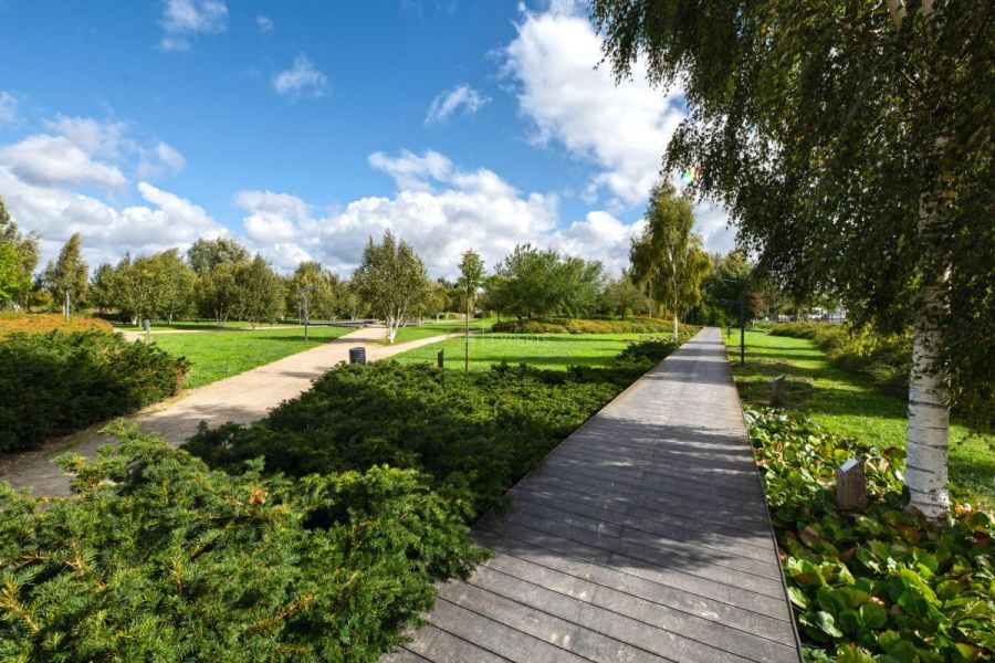Przestronne | Dla rodziny | Winda: zdjecie 99565565