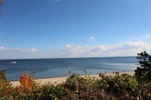 Gdynia Orłowo pas nadmorski: zdjecie 66554045