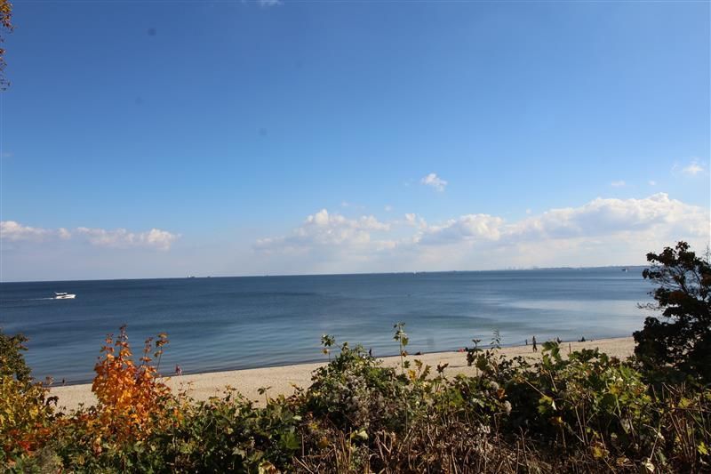 Gdynia Orłowo pas nadmorski: zdjecie 99566115