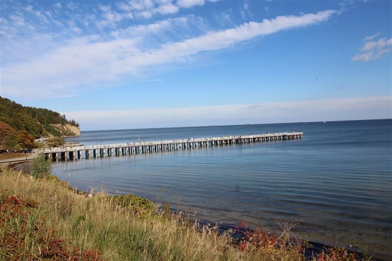 Gdynia Orłowo pas nadmorski: zdjecie 99566116